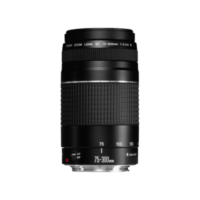Canon EF 75-300mm F 4-5.6