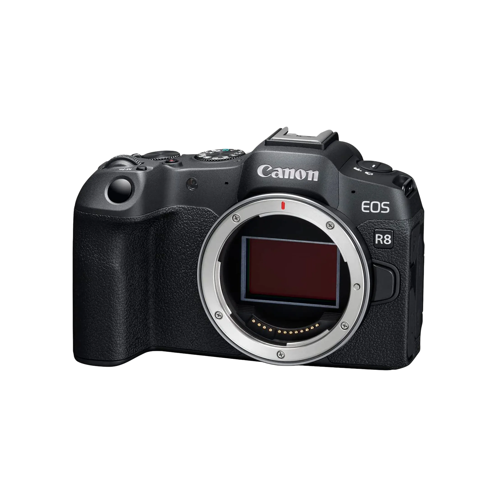 Canon EOS R8 body